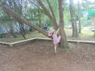 TreeClimbing