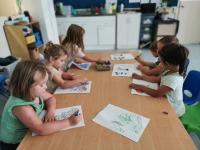 drawing Rimu March 2020