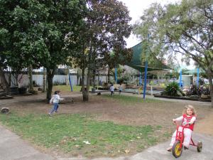 IMG 0152