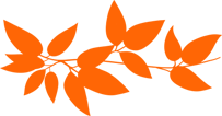 leaf right